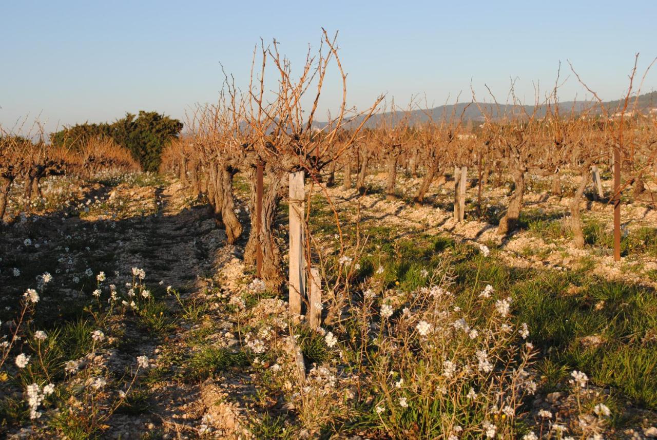 Bed and Breakfast Terre de Bacchus Vacqueyras Exterior foto